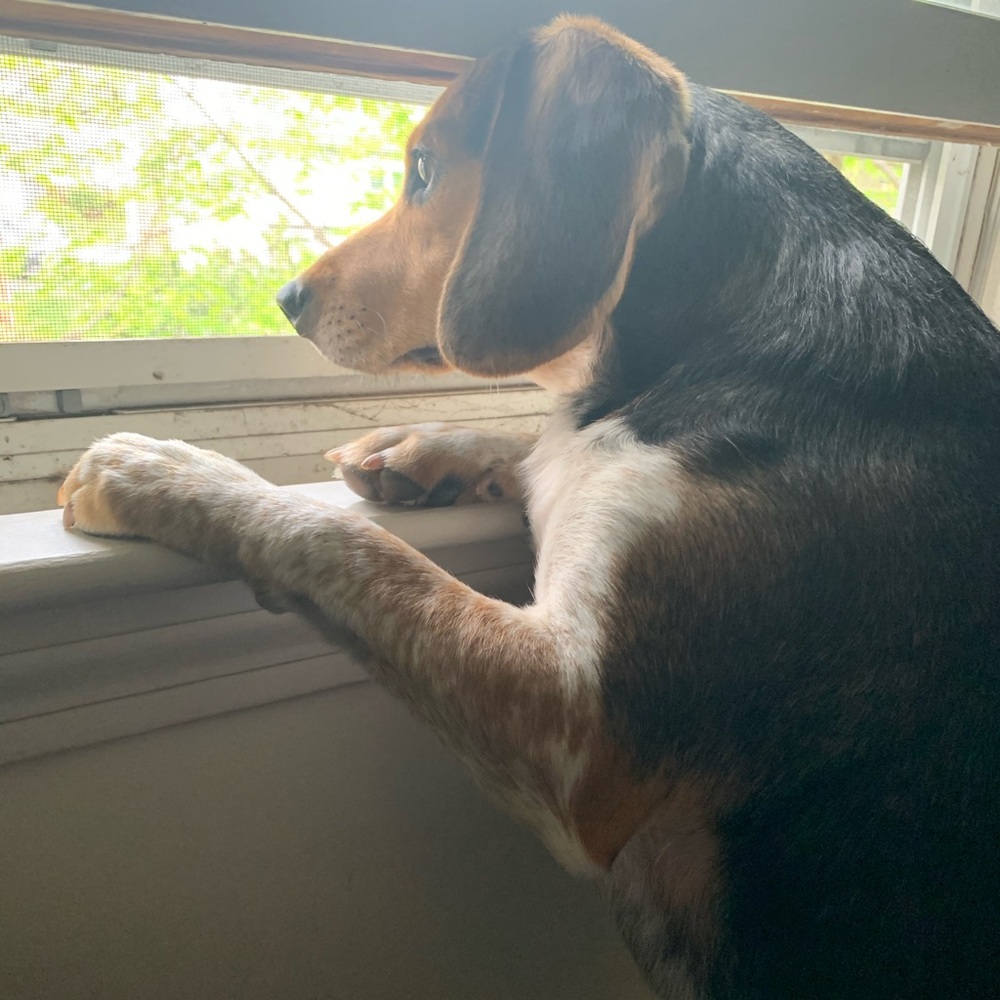 Meet your Posher, Michael